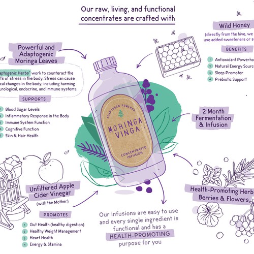 Moringa Vinga Infographic