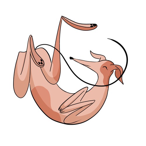 Illustration with dog for merchandise