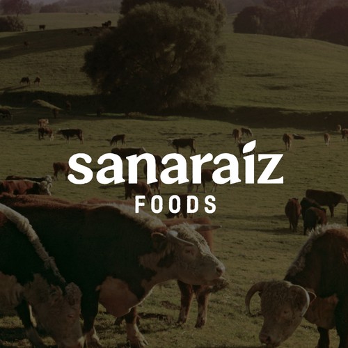 Brand Identity for Sanariaz