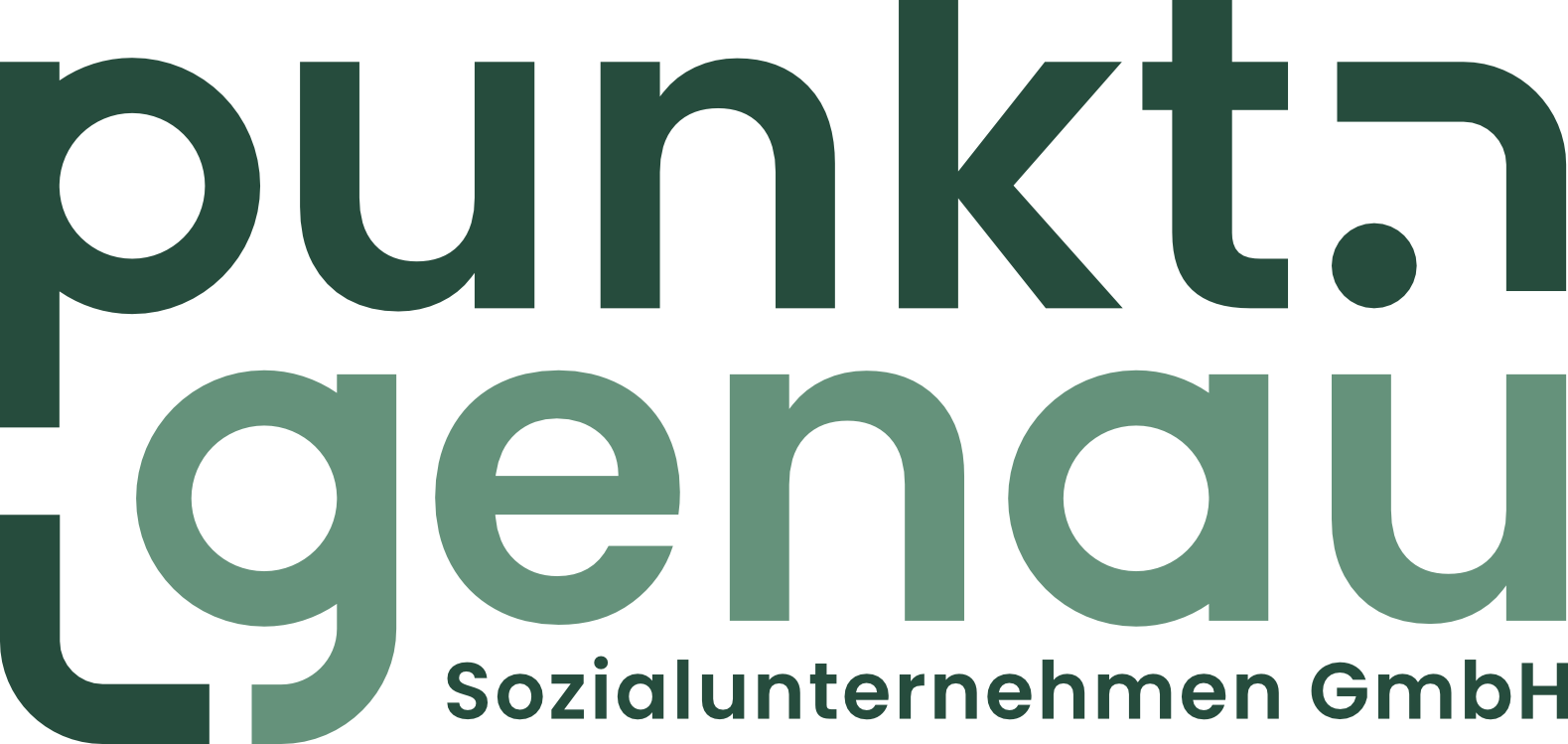 Kreative Identität für ein innovatives Sozialunternehmen – Logo & Branding für punkt.genau